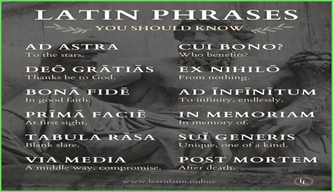 A Profile Of A Latin Beauty