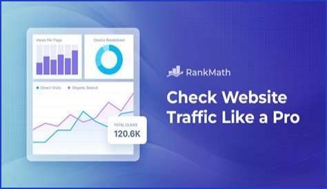 The Ultimate Guide To Check Website Traffic And Ranking